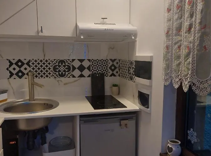 アパート Elisei Junior *