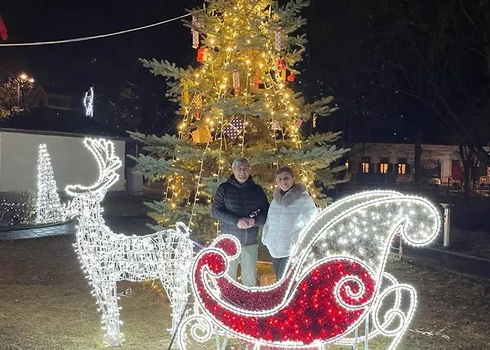 Elisei Junior アパート *